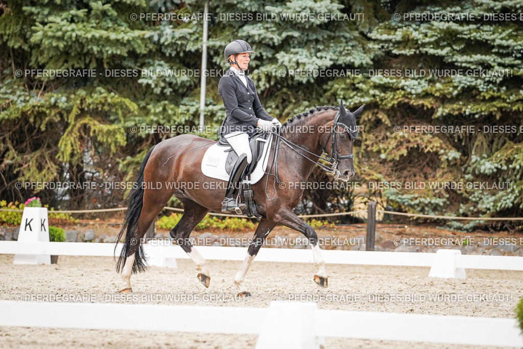 DSC07663 | Pferdegrafie