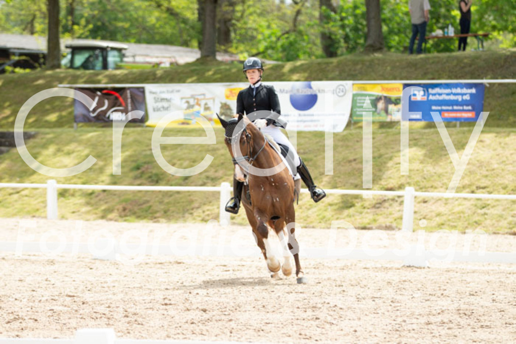 IMG_2270 | Creatify Fotografie