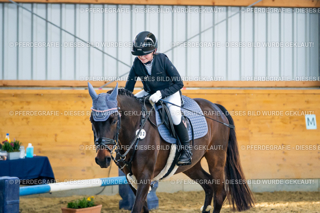 DSC00926 | Pferdegrafie