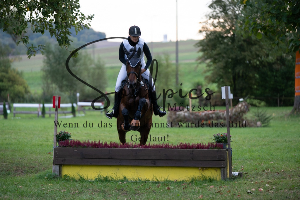 A7V02951 | Turnier/Reitfotograf