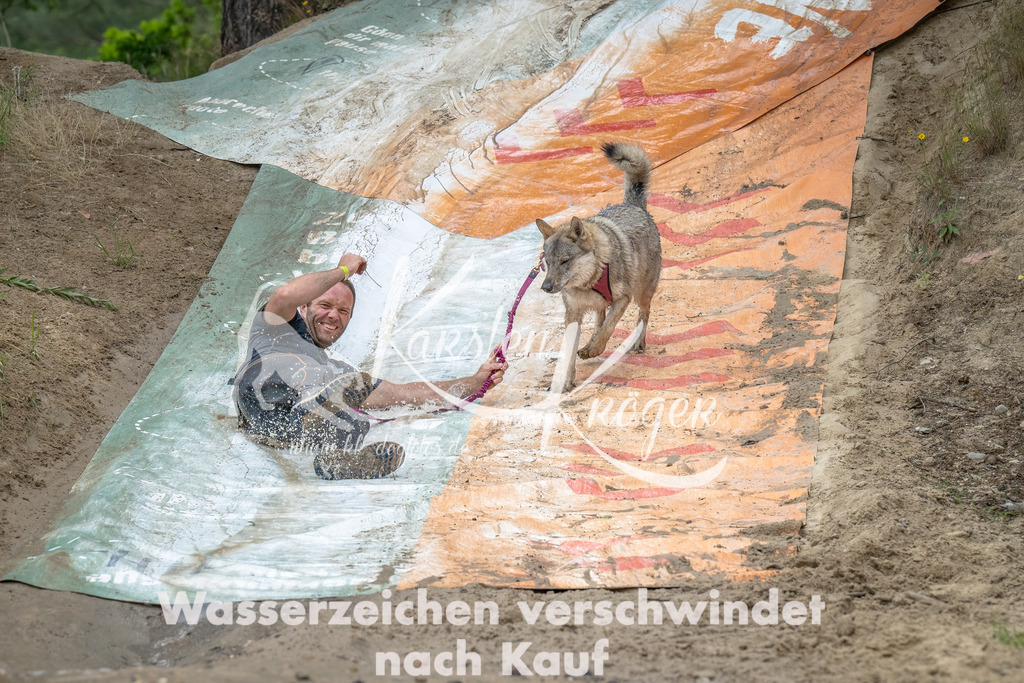 1649_ZZ90466-Bearbeitet | kk-dogfotos