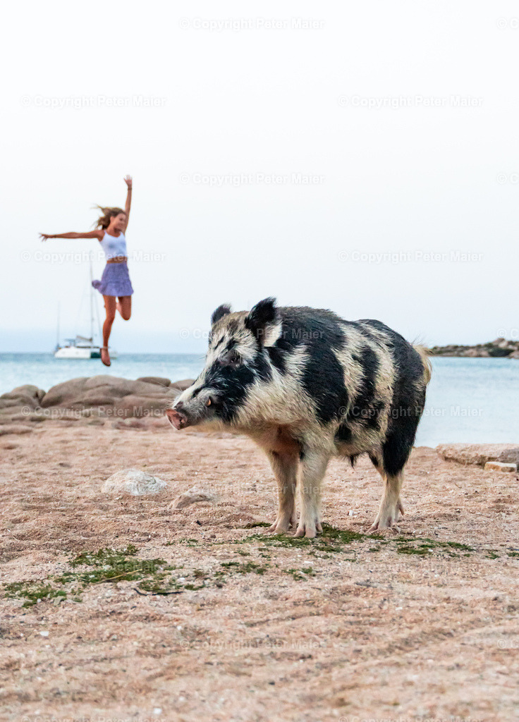 Sardinien_Isola_di_Caprera-23 | piet_flosse