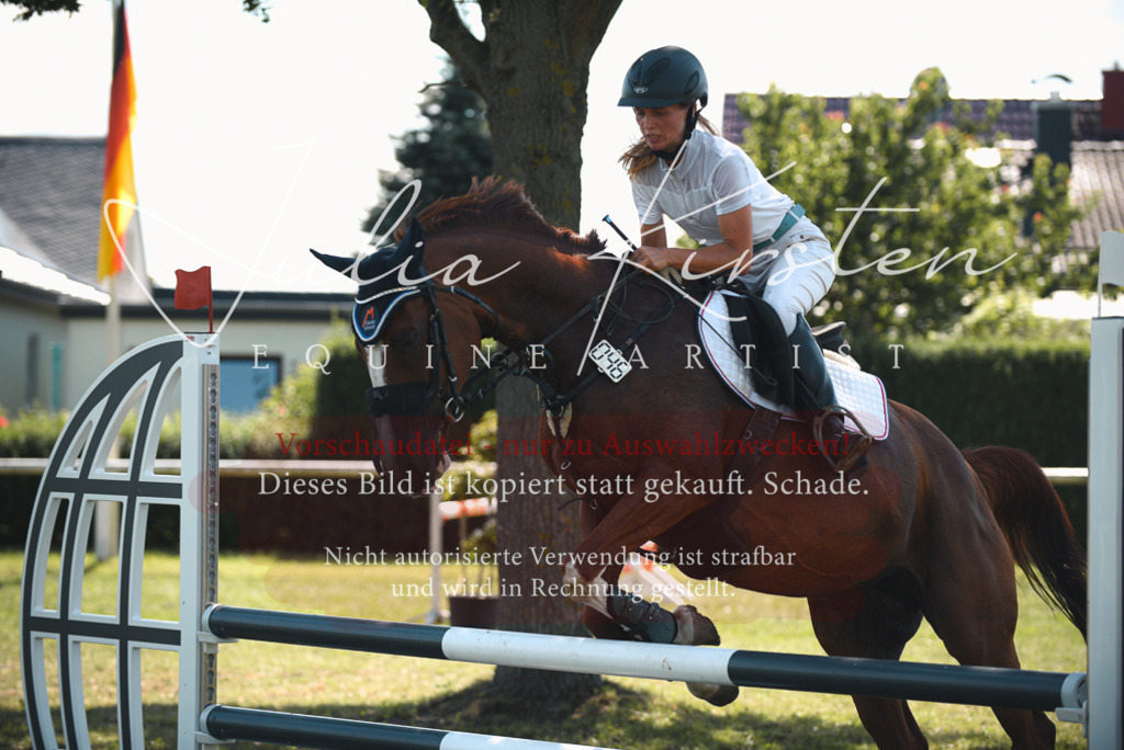 DSC_6861 | Pferde- und Turnierfotografie in Westsachsen. Pferdeportraits, Auftragszeichnungen und intuitive Kunst.