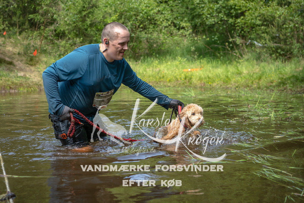 1254DKK993612 | kk-dogfotos