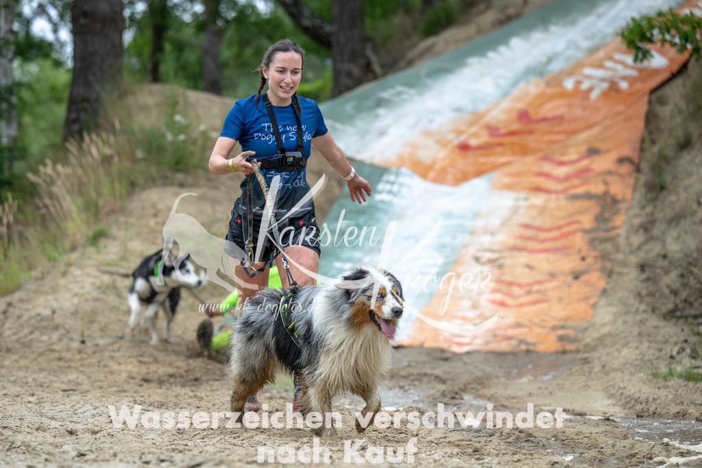 0953_ZZ91498-Verbessert-RR | kk-dogfotos