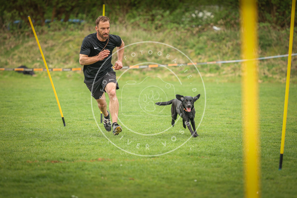 Pfotenfotografie_0L8A0325 | Hundefotografie, Tierfotograf, Pfotenfotografie, Fotoshooting Hund, Hunde Portrait, Hundesport, Hundeportraits, Heideshooting, Hunde, Sportfotograf, Hundefotograf, Turnierhundsport, THS,  - Realisiert mit Pictrs.com