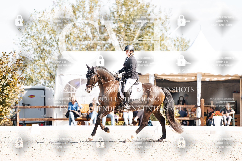 CK903584 | Turnierfotografie Pferdefotografie Trier Rheinland-Pfalz Pferdesport Reitsport Tierfotografie Sportfotografie Pferdevideo Pferdevideografie Equestrianvideography equestrianphotography  - Realisiert mit Pictrs.com