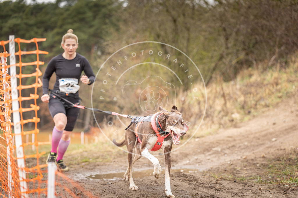 DV3A0428 | Hundefotografie, Tierfotograf, Pfotenfotografie, Fotoshooting Hund, Hunde Portrait, Hundesport, Hundeportraits, Heideshooting, Hunde, Sportfotograf, Hundefotograf, Turnierhundsport, THS,  - Realisiert mit Pictrs.com