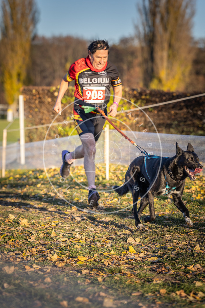 CaniXpix_DV3A4768 | Hundefotografie, Tierfotograf, Pfotenfotografie, Fotoshooting Hund, Hunde Portrait, Hundesport, Hundeportraits, Heideshooting, Hunde, Sportfotograf, Hundefotograf, Turnierhundsport, THS,  - Realisiert mit Pictrs.com