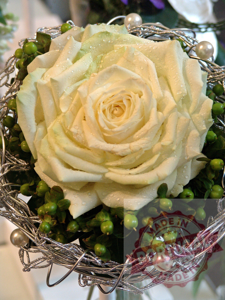 Close-up of elegant white rose wedding centerpiece with hypericum berries and decorative wire | Single white rose with water droplets forms the centerpiece of a wedding bouquet, accented with hypericum berries and a metallic wire basket - Realisiert mit Pictrs.com