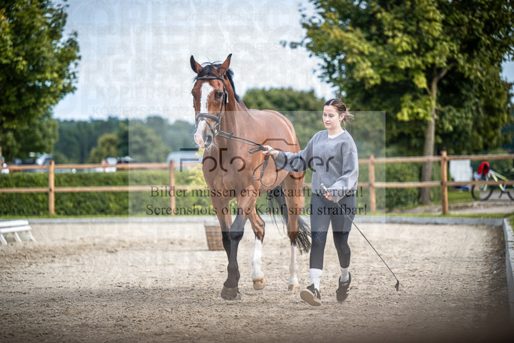 DOS_1189 | Entdecke hochwertige Reitturnierfotos von Foto Oger. Professionell, emotional und authentisch – jetzt Lieblingsmomente im Shop bestellen.Deutschlandweite Turnierfotografie. - Realisiert mit Pictrs.com