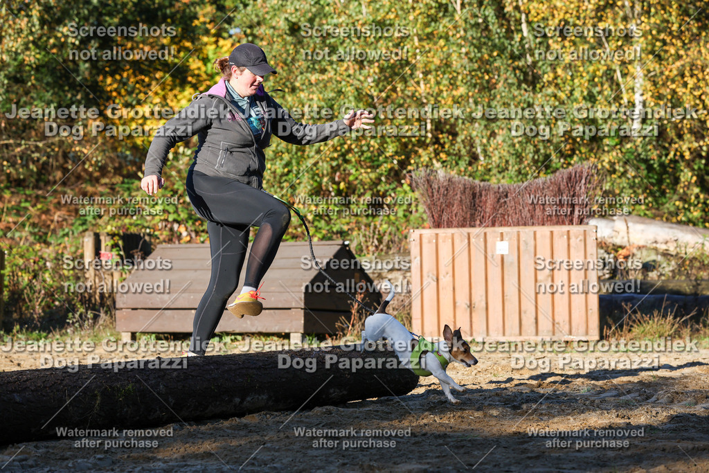 Dog Paparazzi - Strongdog 10-25-1279 | Dog Paparazzi Jeanette Grottendiek Fotografie & Videografie - Realisiert mit Pictrs.com