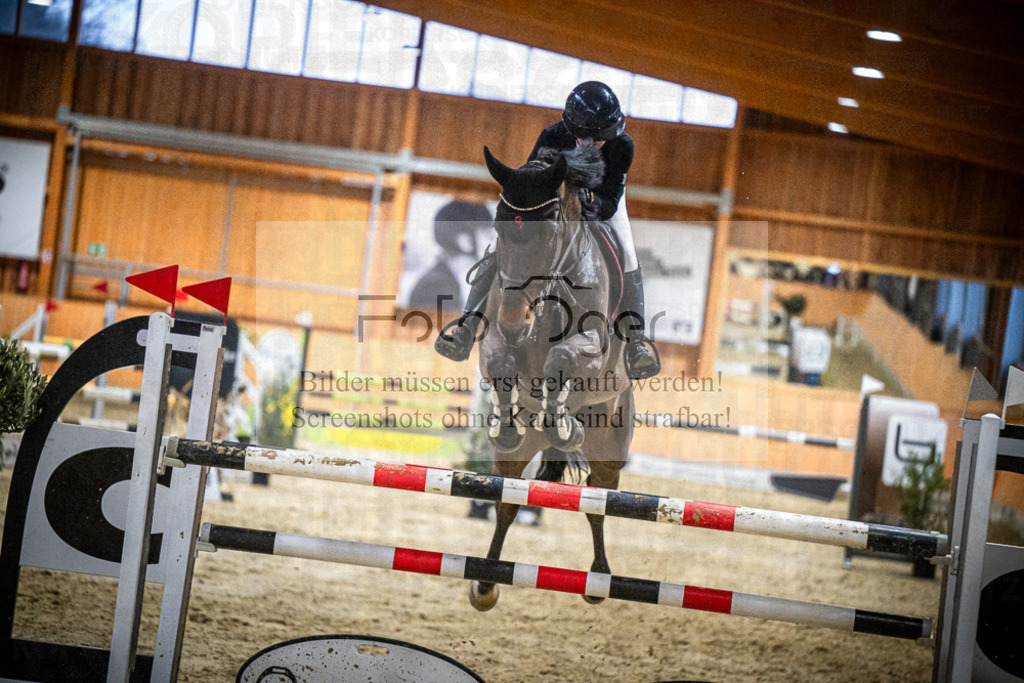 DOS_2386 | Entdecke hochwertige Reitturnierfotos von Foto Oger. Professionell, emotional und authentisch – jetzt Lieblingsmomente im Shop bestellen.Deutschlandweite Turnierfotografie. - Realisiert mit Pictrs.com