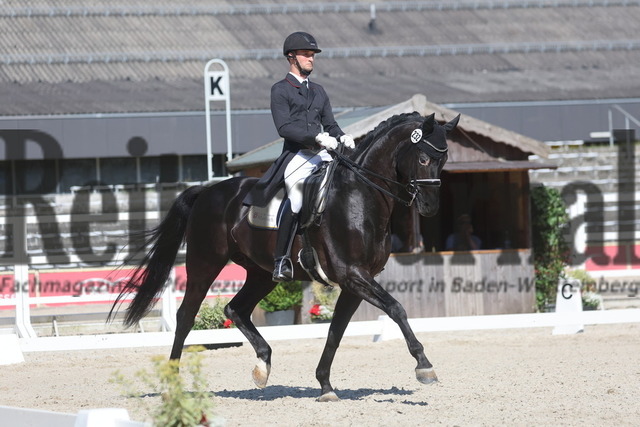 Marbach_2024_Prfg.Nr.04_Dressurprfg_Kl.S_Inter I_Lukas Maier_Doubtless 5 (2) | Alle Fotos der Reiterjournal Fotografin Doris Matthaes im Reiterjournal Online-Fotoshop. - Realisiert mit Pictrs.com