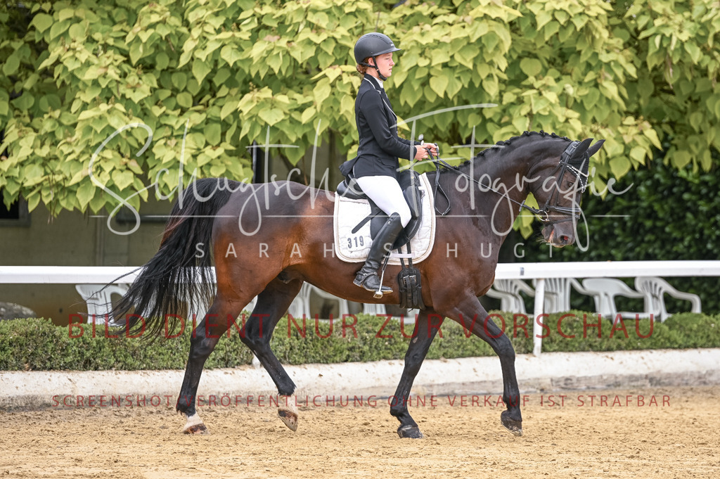 Schugtsche-Aluta25-43.EDressur -94 | Schugtsche Fotografie - Realisiert mit Pictrs.com