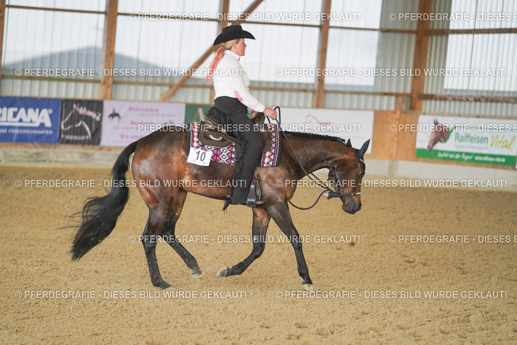 DSC09425 | Pferdegrafie