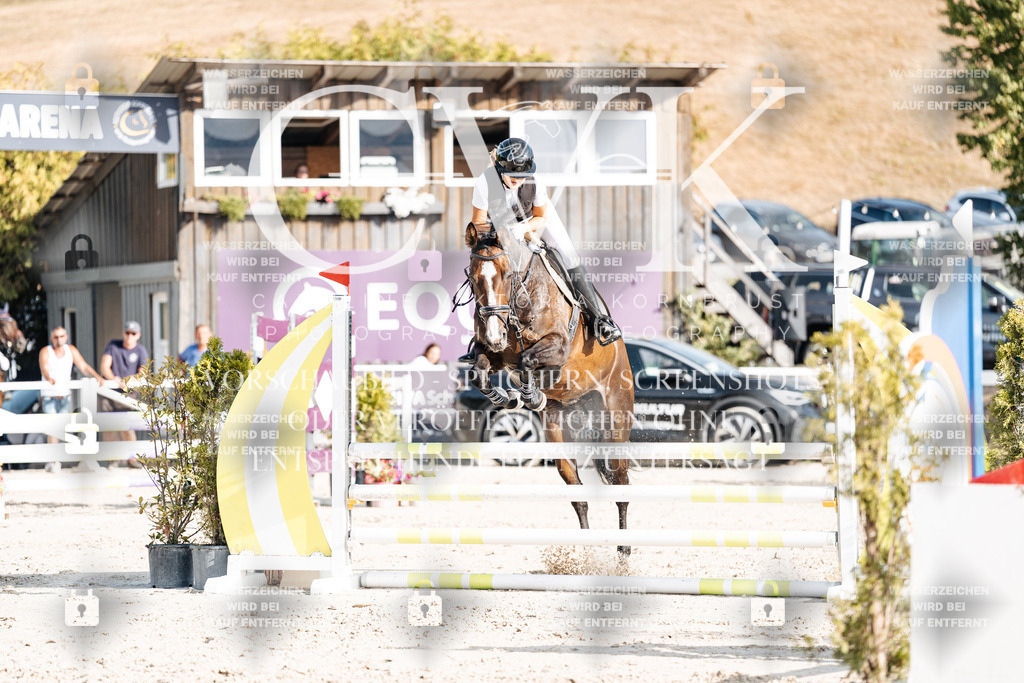 CK909505 | Turnierfotografie Pferdefotografie Trier Rheinland-Pfalz Pferdesport Reitsport Tierfotografie Sportfotografie Pferdevideo Pferdevideografie Equestrianvideography equestrianphotography  - Realisiert mit Pictrs.com