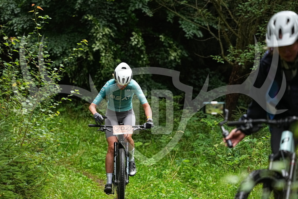 FC109708 | Fotogalerie der Treibjagd im Dunkelwald - Dein MTB Etappenrennen im Erzgebirge - Realisiert mit Pictrs.com