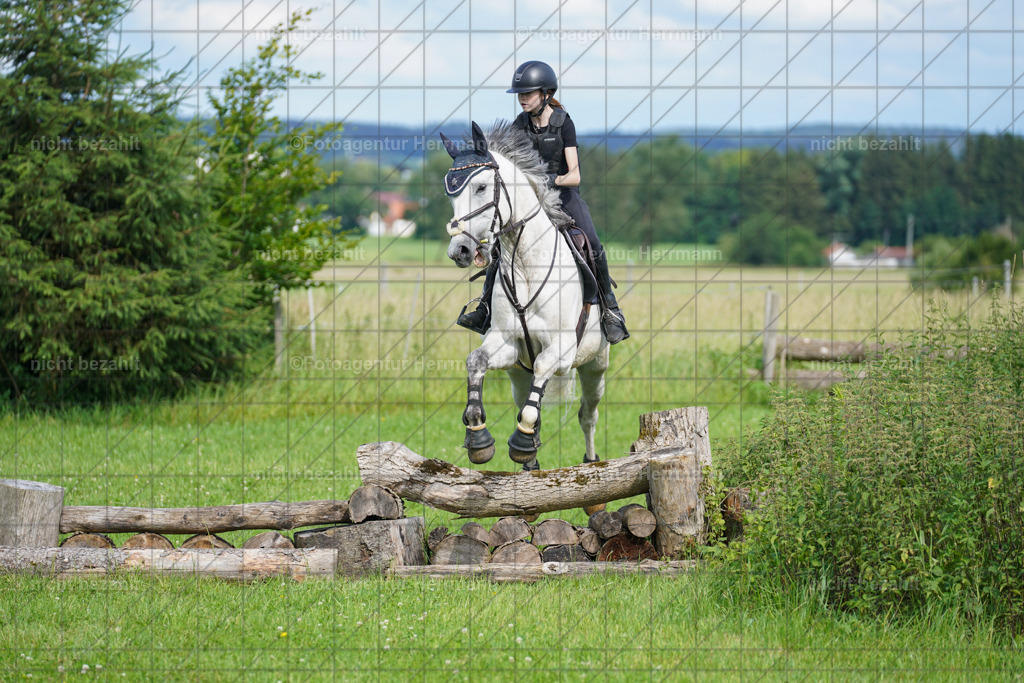 20240622-FAH08038 | Turnierfotografen Bayern, Reitsportbilder aus dem Geländekurs mit Felix Etzel auf dem Gut Waitzacker 2024