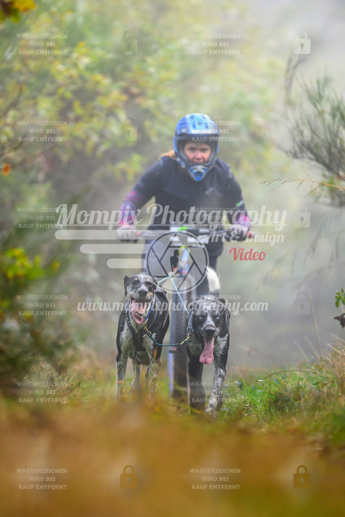 MompixPhotography_20TSB_E4_DS2-14 | PayLife