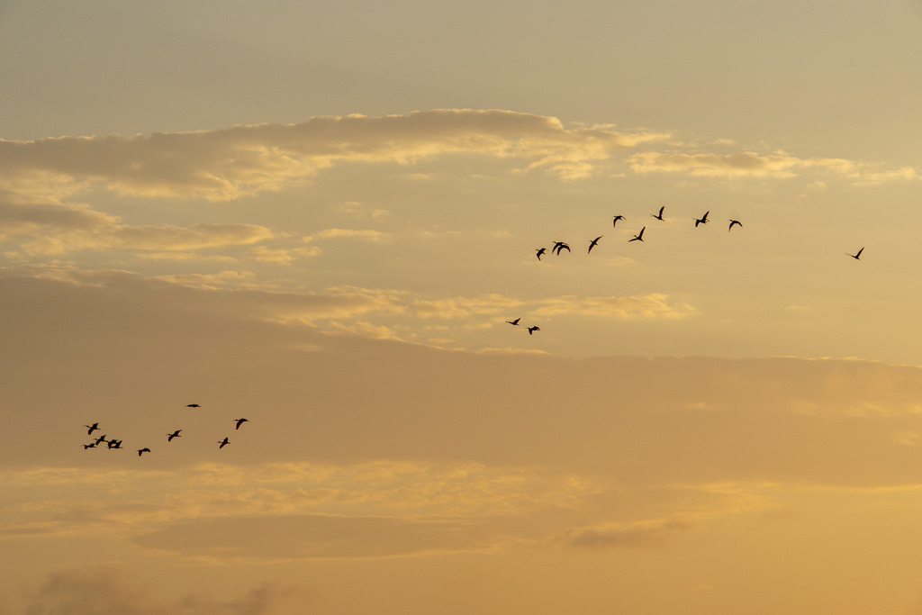 20251118-DeltaTour-0047 | paulependelt - Realisiert mit Pictrs.com