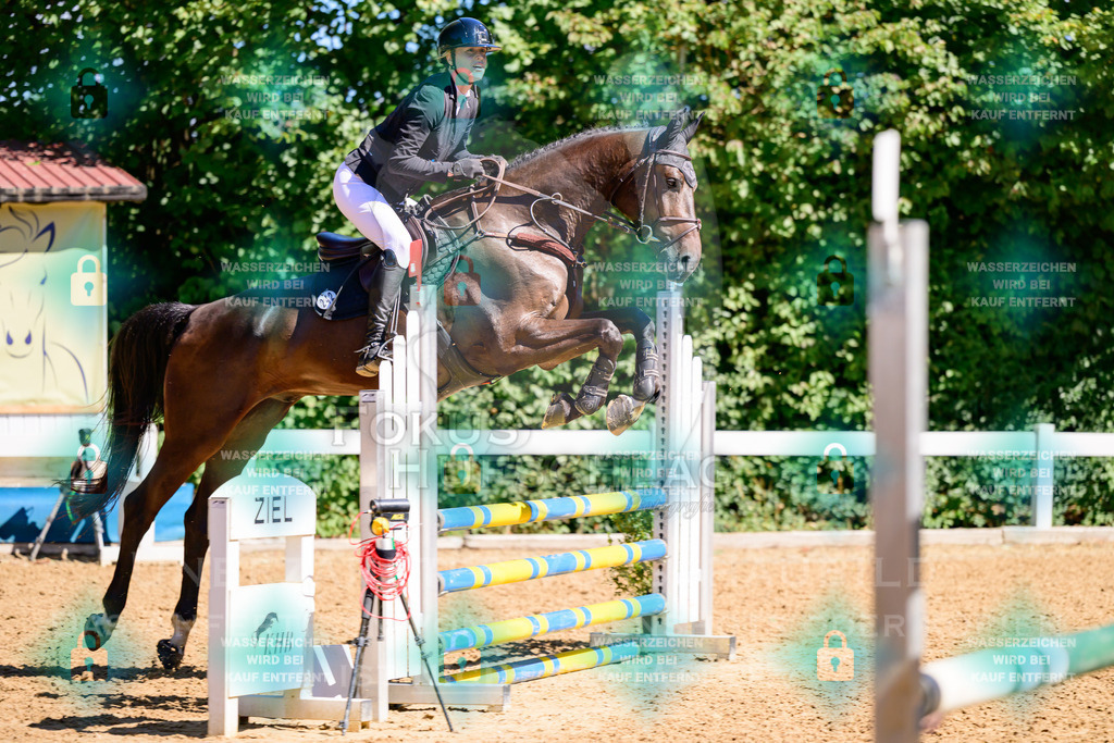 29082026-Giesenbach-Prfg10-0589 | Fokus Hufschlag Fotografie - Realisiert mit Pictrs.com