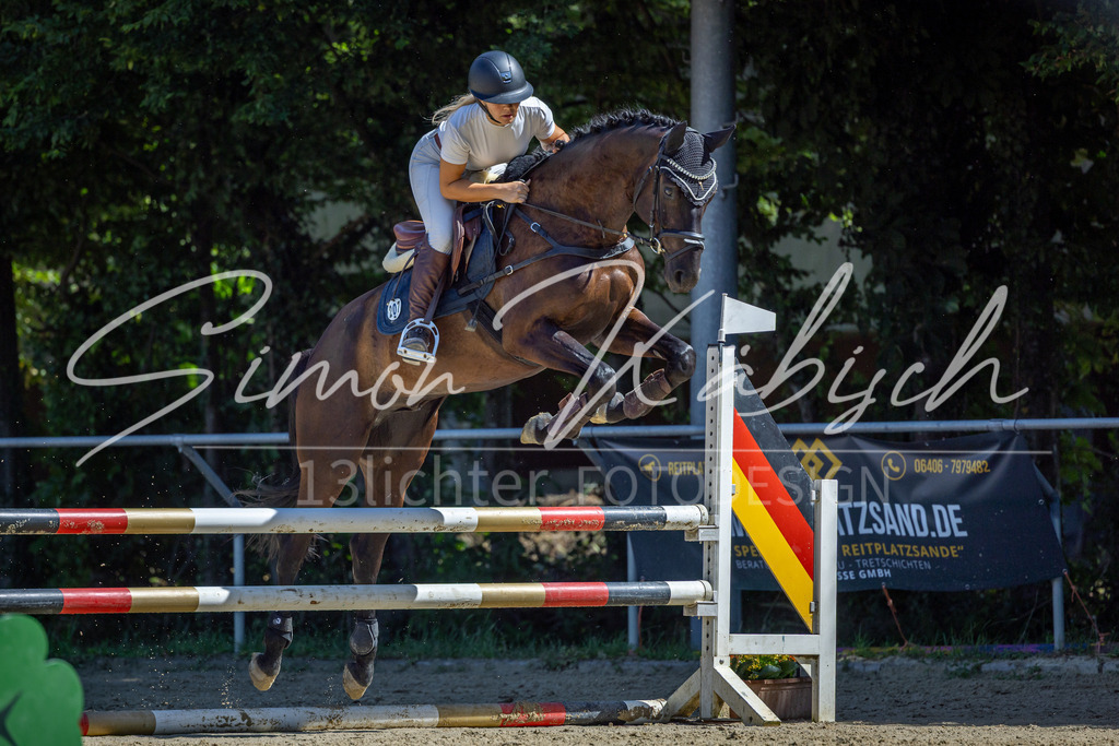 20260704-_3LI7599 | Tierfotografie Pferde, Hunde, Katzen, Haustiere.
Turnierfotografie Reitturniere, Reiten, Springreiten, Dressur in Hanau, dem Main-Kinzig-Kreis und dem Rhein-Main- Gebiet um Frankfurt