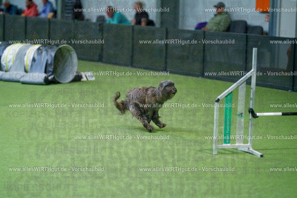 @allesWIRTHgut_Tierfotografie - www.allesWIRTHgut.de - 2604250850-7R507878 | Professionelle Tierfotografie in Mönchengladbach von Daniel Wirth (allesWIRTHgut). Liebevolle & natürliche Bilder von Hunden & Katzen für unvergessliche Erinnerungen.