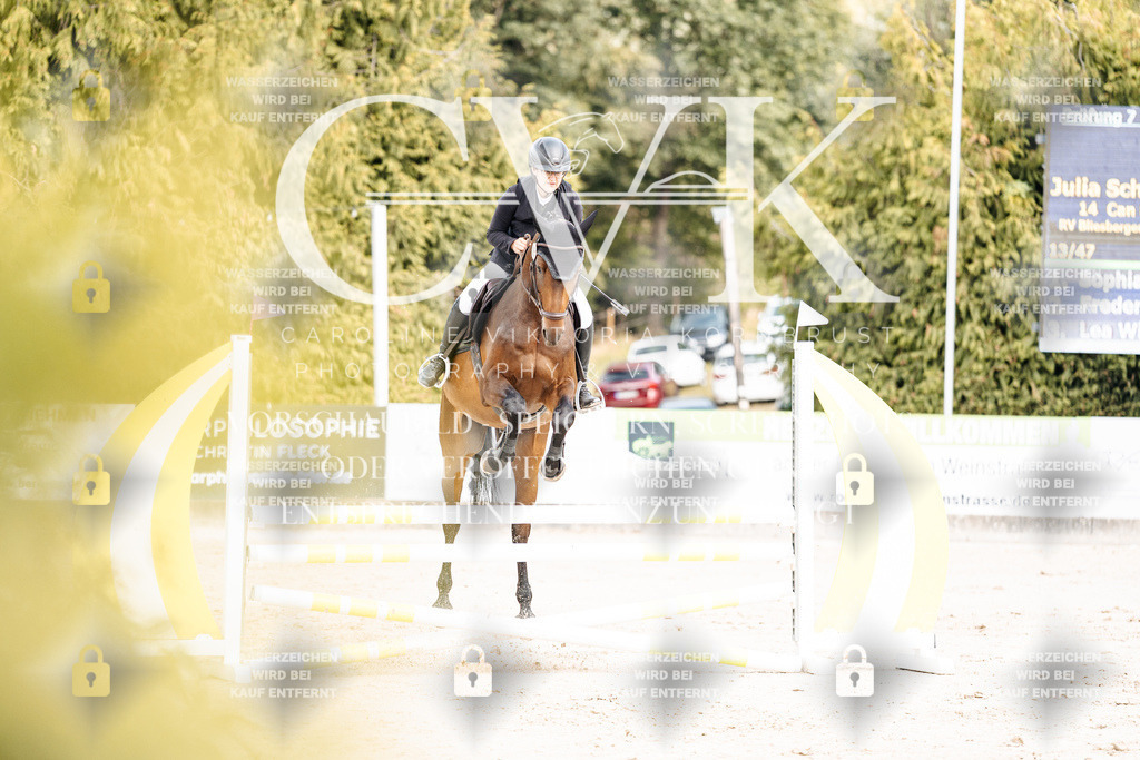 CK902231 | Turnierfotografie Pferdefotografie Trier Rheinland-Pfalz Pferdesport Reitsport Tierfotografie Sportfotografie Pferdevideo Pferdevideografie Equestrianvideography equestrianphotography  - Realisiert mit Pictrs.com