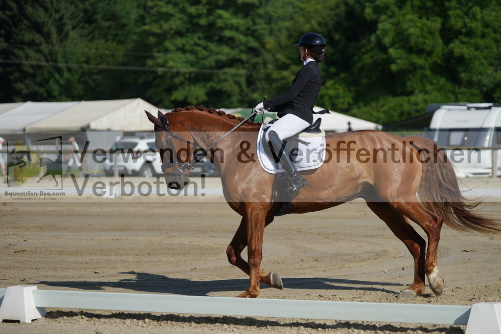 DSC03986 | equestrian-live-com