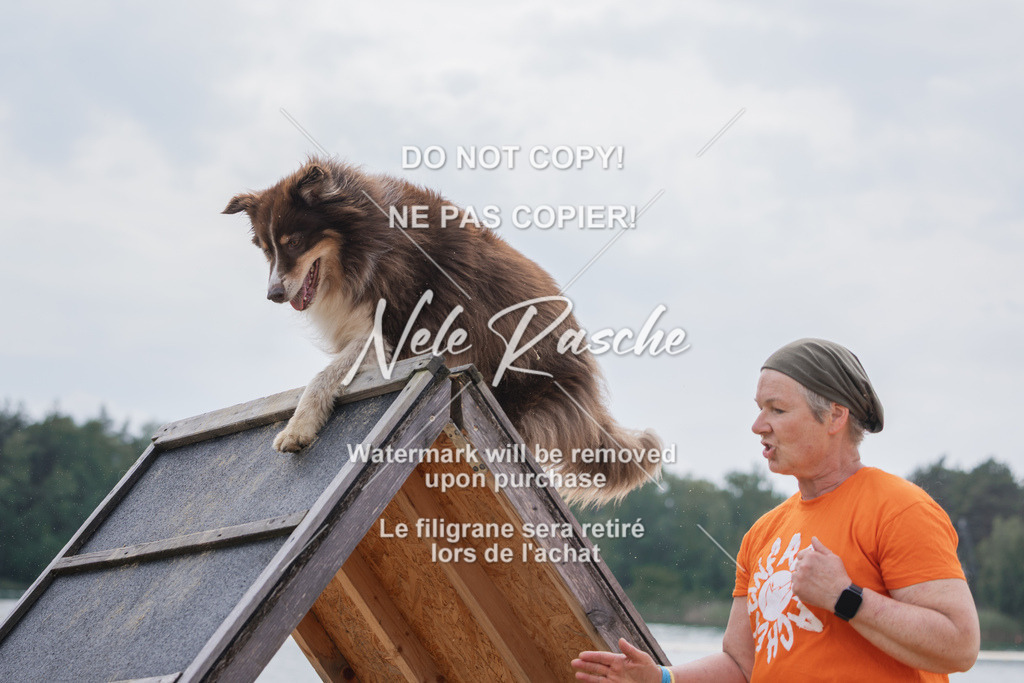 nelerasche_BuHu2026_So1530-Ende_131 | nelerasche