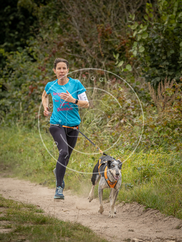 Pfotenfotografie_DV3A7835 | Hundefotografie, Tierfotograf, Pfotenfotografie, Fotoshooting Hund, Hunde Portrait, Hundesport, Hundeportraits, Heideshooting, Hunde, Sportfotograf, Hundefotograf, Turnierhundsport, THS,  - Realisiert mit Pictrs.com