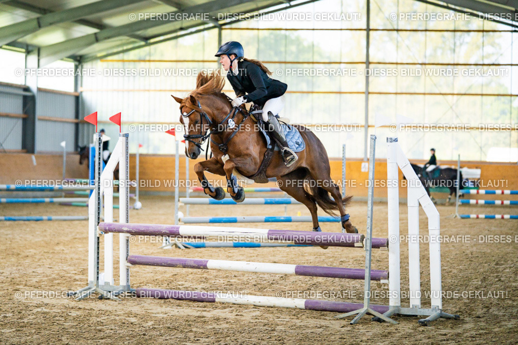 DSC00466 | Pferdegrafie