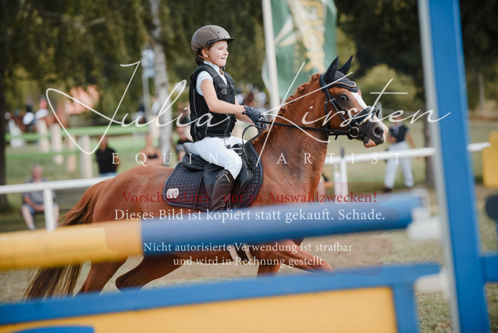 DSC_5222 | Pferde- und Turnierfotografie in Westsachsen. Pferdeportraits, Auftragszeichnungen und intuitive Kunst.
