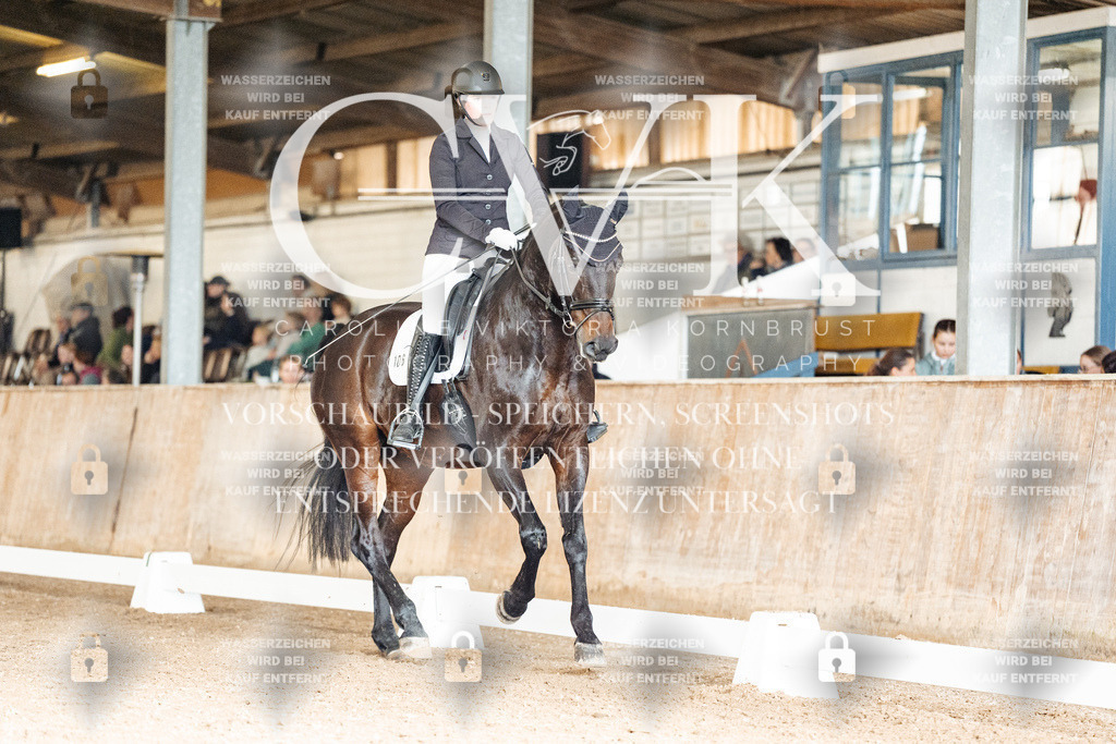 CK902083 | Turnierfotografie Pferdefotografie Trier Rheinland-Pfalz Pferdesport Reitsport Tierfotografie Sportfotografie Pferdevideo Pferdevideografie Equestrianvideography equestrianphotography  - Realisiert mit Pictrs.com