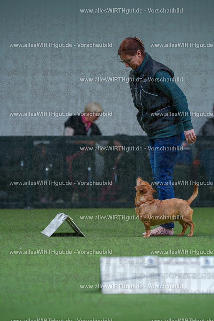 7R501873 | Professionelle Tierfotografie in Mönchengladbach von Daniel Wirth (allesWIRTHgut). Liebevolle & natürliche Bilder von Hunden & Katzen für unvergessliche Erinnerungen.