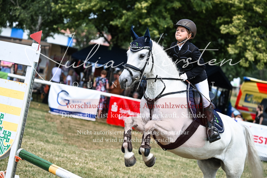 DSC_9621 | Pferde- und Turnierfotografie in Westsachsen. Pferdeportraits, Auftragszeichnungen und intuitive Kunst.
