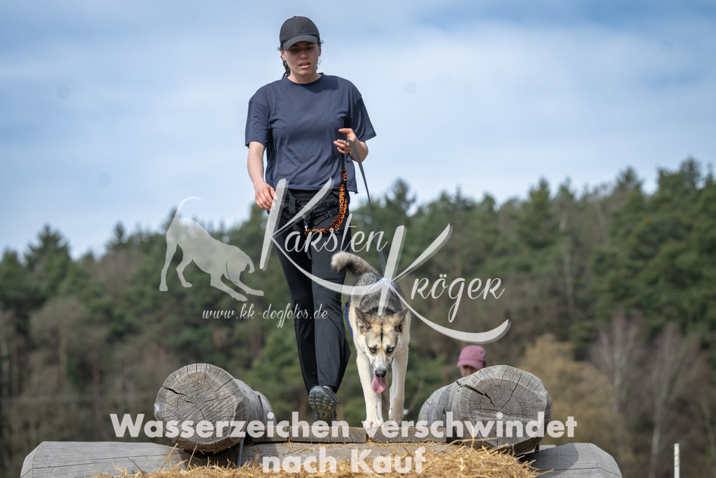 1049_ZZ93949 | kk-dogfotos