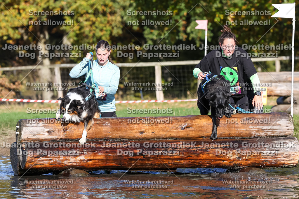 Dog Paparazzi - Strongdog 10-25-8837 | Dog Paparazzi Jeanette Grottendiek Fotografie & Videografie - Realisiert mit Pictrs.com