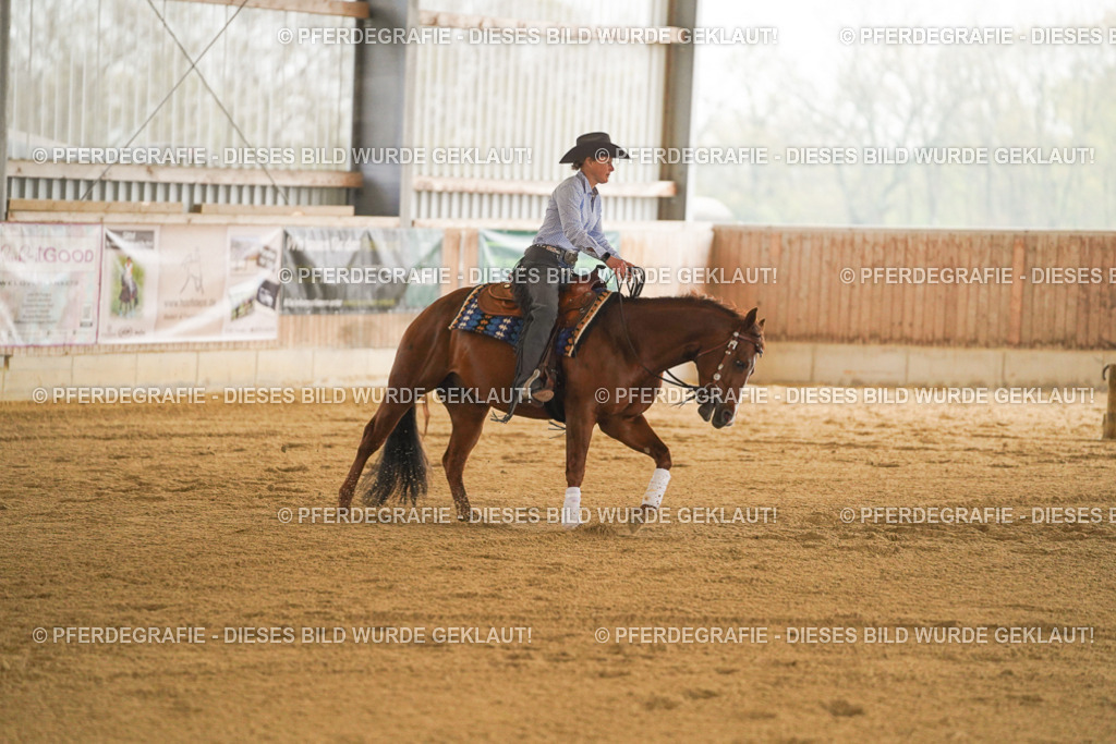 DSC09992 | Pferdegrafie