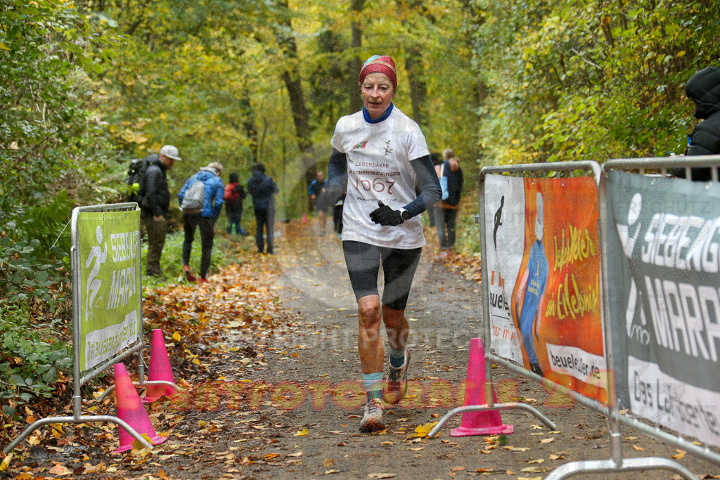 251026_1328_EX1_3524 | Sportfotografie im Rhein-Sieg Kreis, Köln, Bonn, NRW, Rheinland Pfalz, Hessen, etc. Unser Tätigkeitsfeld umfasst den Laufsport vom Volkslauf über den Marathon, Duathlon, Triathon bis zum Ultralauf wie Kölnpfad Ultra oder Schindertrail.