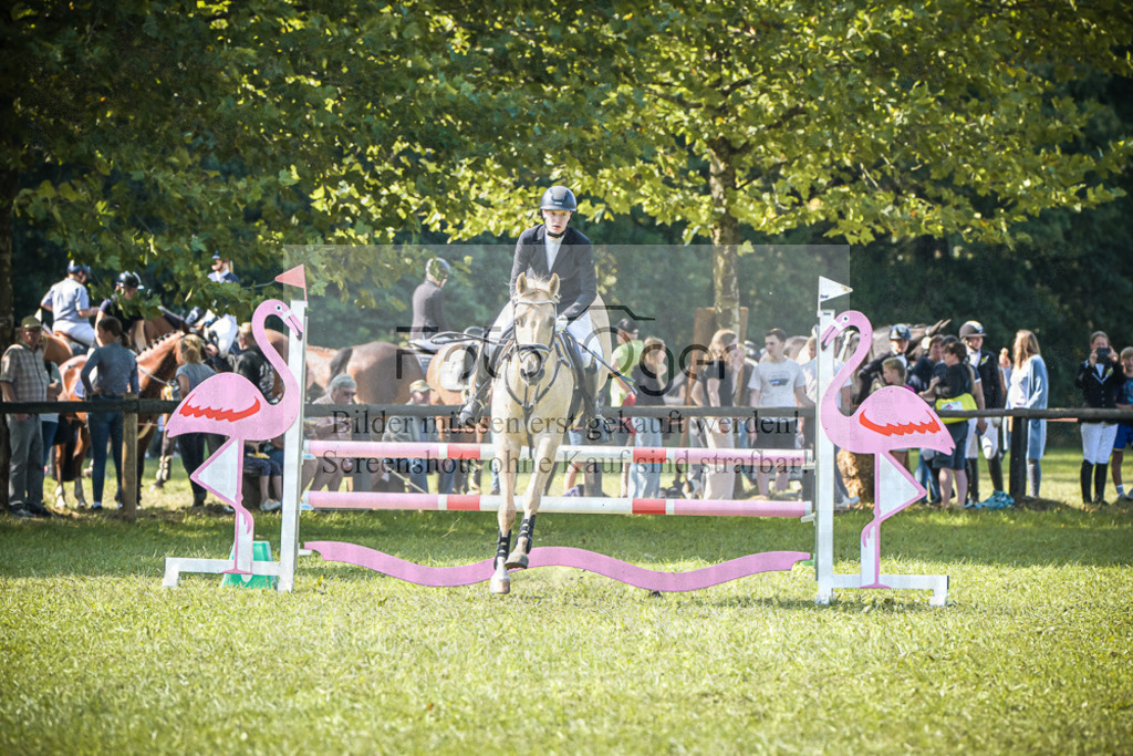 DOS_1669 | Entdecke hochwertige Reitturnierfotos von Foto Oger. Professionell, emotional und authentisch – jetzt Lieblingsmomente im Shop bestellen.Deutschlandweite Turnierfotografie. - Realisiert mit Pictrs.com