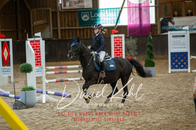 IMG_1820 | Turniersportfotografie; Pferdefotografie; Dressurfotografie