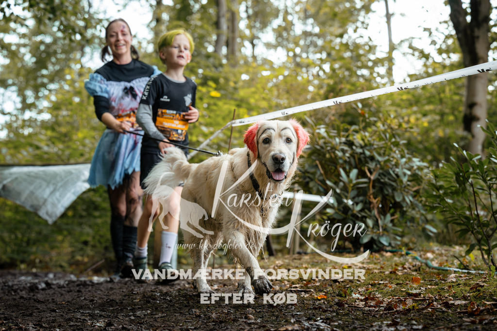 1424DZ6_1897Z6 | kk-dogfotos