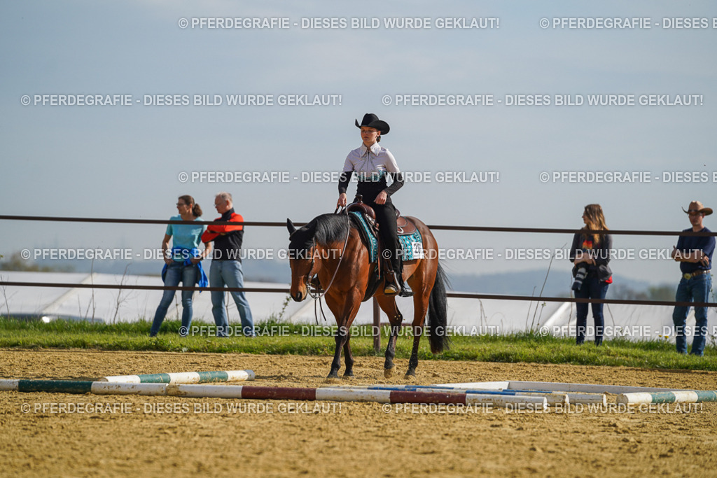 DSC01245 | Pferdegrafie