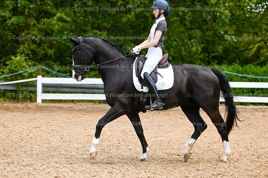 20230715_05_Dressurprüfung Kl.A++_0137 | equistock
