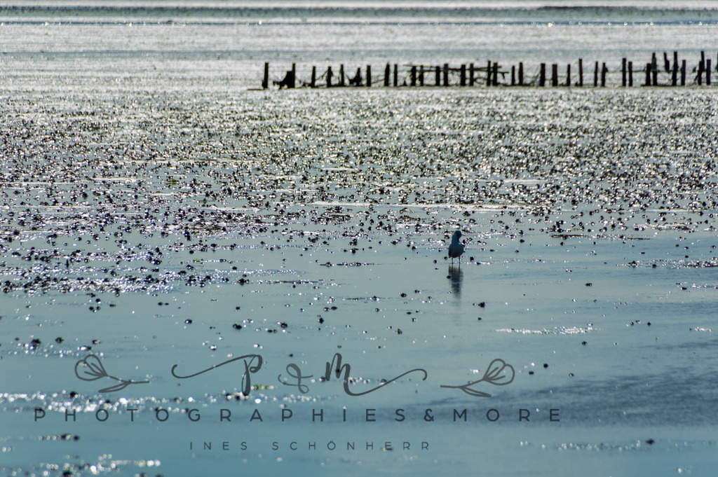 IMGP0399 | Nordseeinsel Mandö - Realisiert mit Pictrs.com