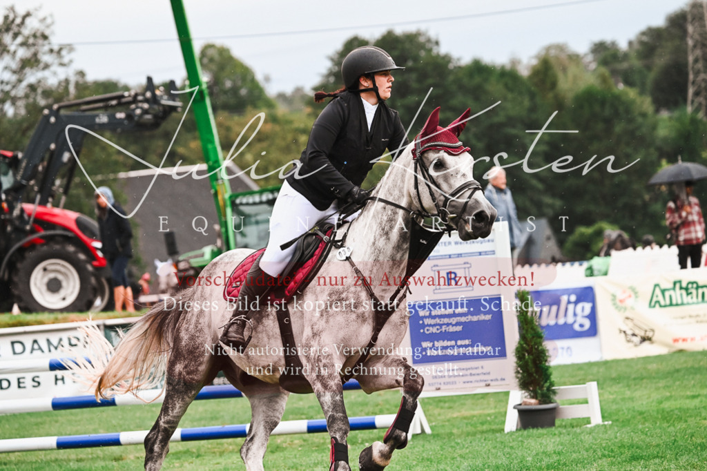 DSC_6358 | Pferde- und Turnierfotografie in Westsachsen. Pferdeportraits, Auftragszeichnungen und intuitive Kunst.