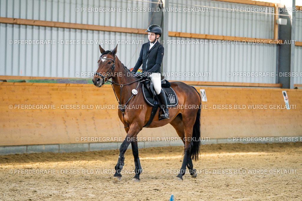 DSC01123 | Pferdegrafie