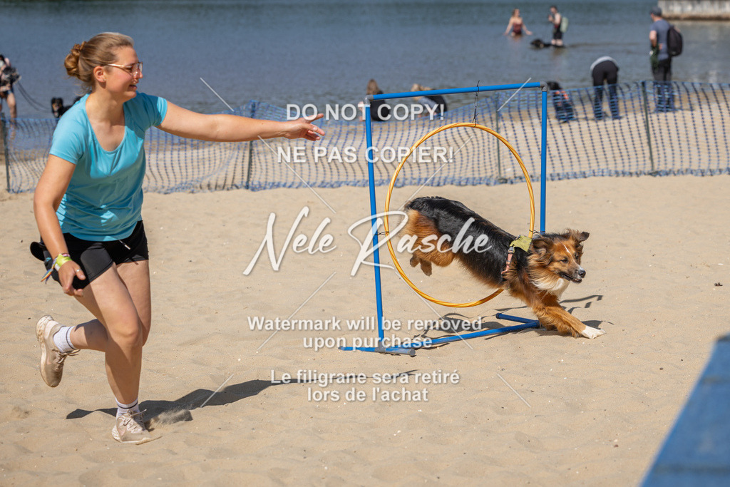 nelerasche_saBeachility_411 | nelerasche